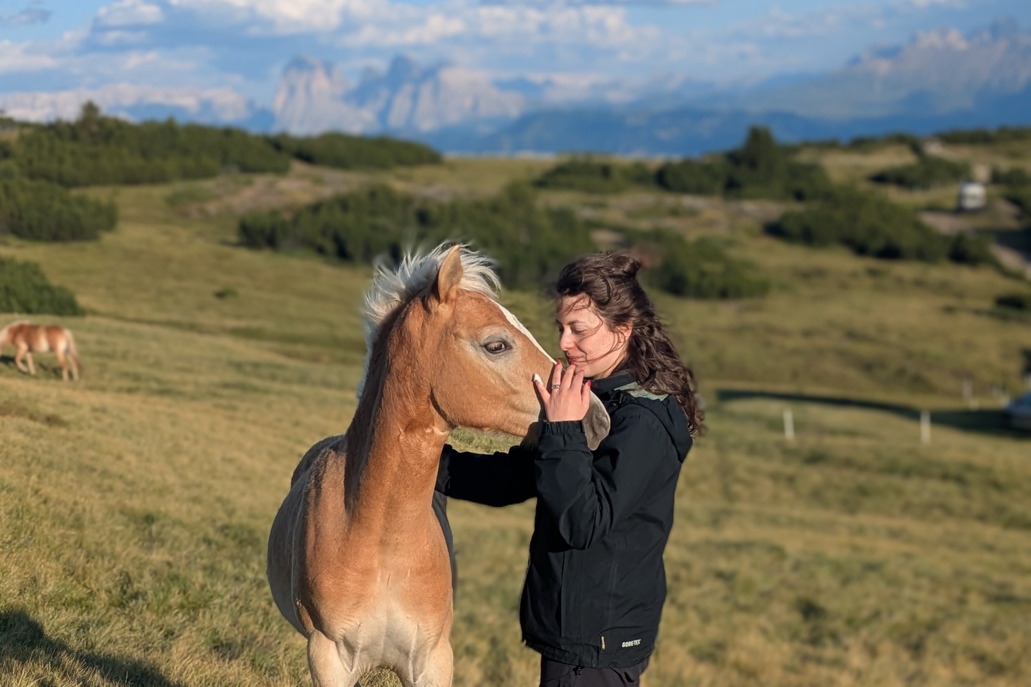 Eine Frau begegnet einem Fohlen auf der Villanderer Alm, im Hintergrund die Dolomiten